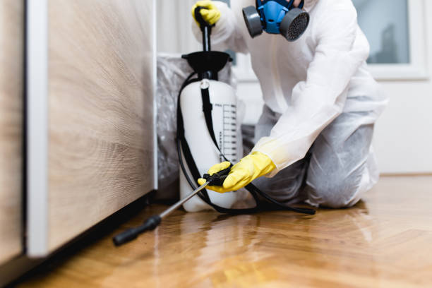 Best Best Pest Control Companies  in Warson Woods, MO