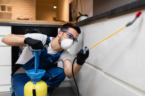 Best Affordable Pest Control Services  in Warson Woods, MO