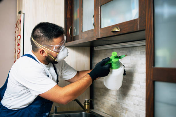 Trusted Warson Woods, MO Pest Control Experts