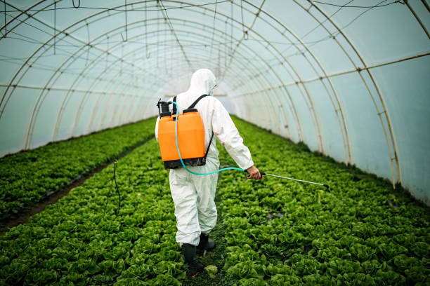 Best Affordable Pest Control Services  in Warson Woods, MO
