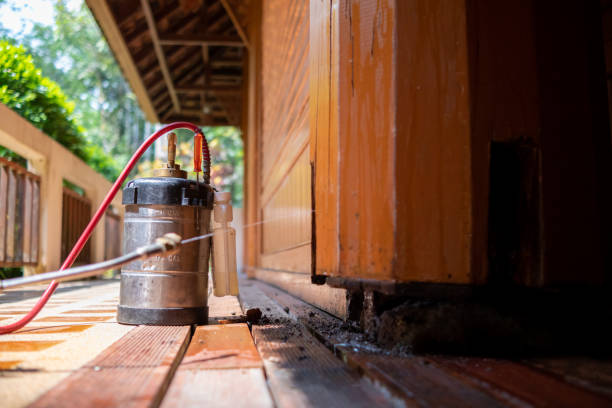 Best Exterminator Services  in Warson Woods, MO
