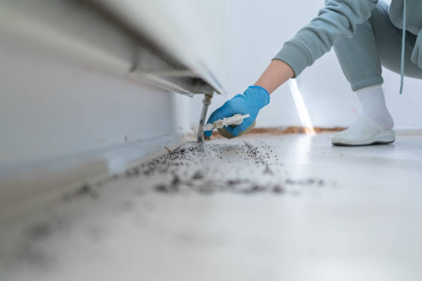 Best Pest Removal Services  in Warson Woods, MO